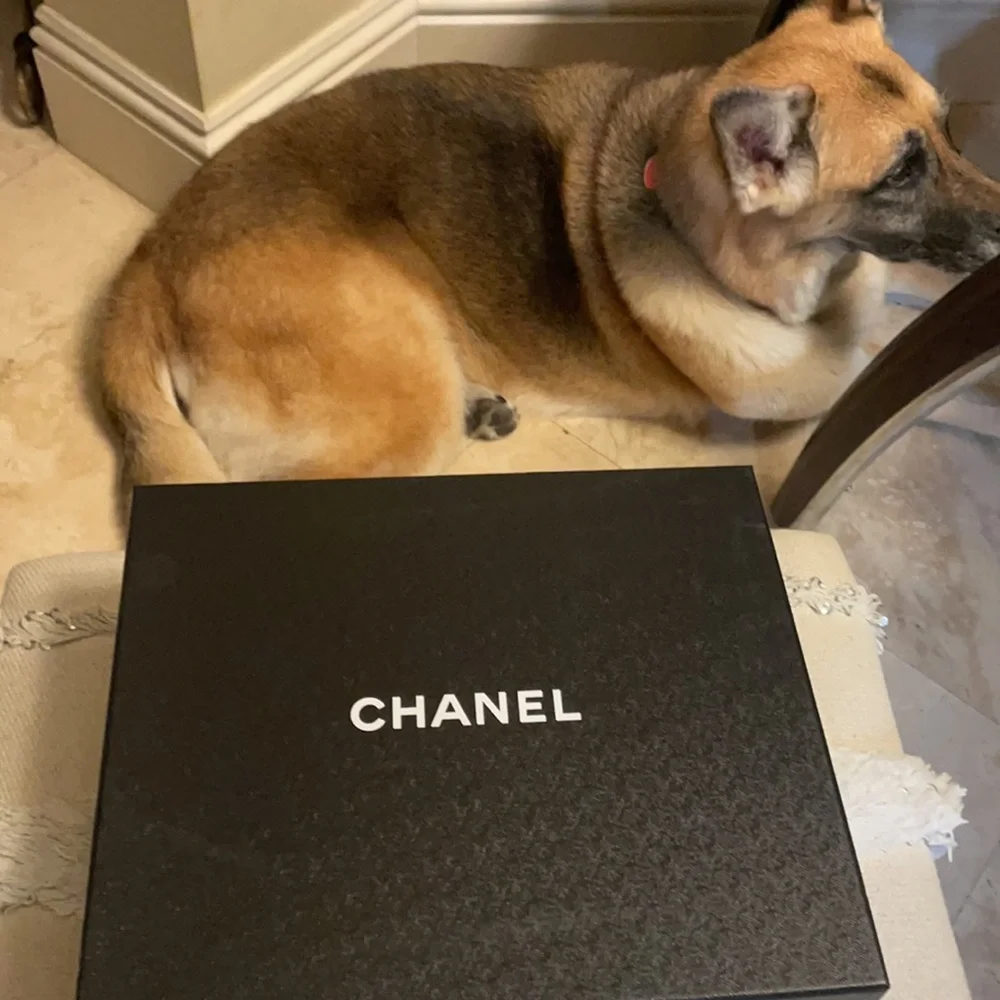 Chanel Blue denim Dad Sandals 37.5 - Picture 6 of 13